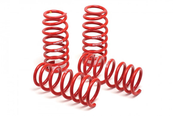 H&R Race Lowering Springs - Audi A4 Quattro 1996-2001