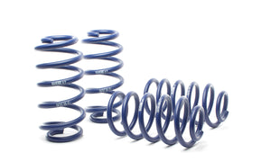 H&R Race Lowering Springs - Audi A6 Quattro 1998-2004